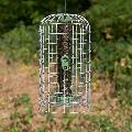 RSPB Ultimate nyjer seed feeder and guardian, medium product photo default T