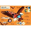 What makes a bird?: An illustrated guide to the bird world product photo side T