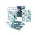 White blossom A6 notecards, pack of 12 product photo default T